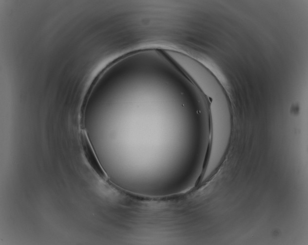 X0000093090996200710101513