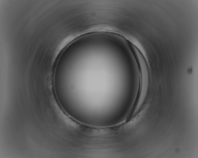 X0000093090997200710101513