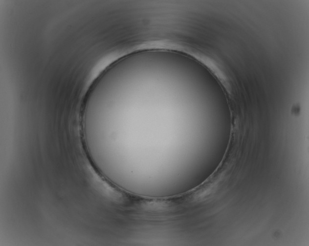 X0000093090998200710101513