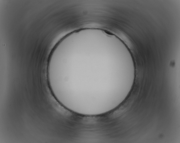 X0000093091000200710101513