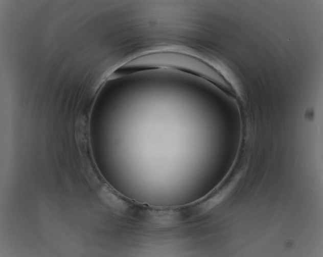 X0000093091001200710101513