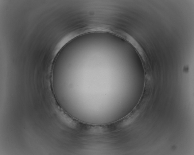 X0000093091002200710101513