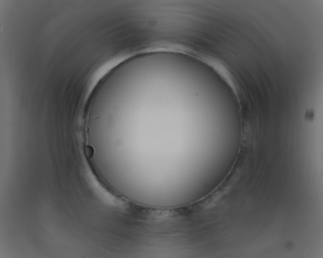 X0000093091003200710101513