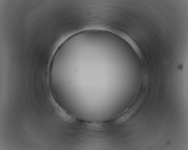 X0000093091004200710101513