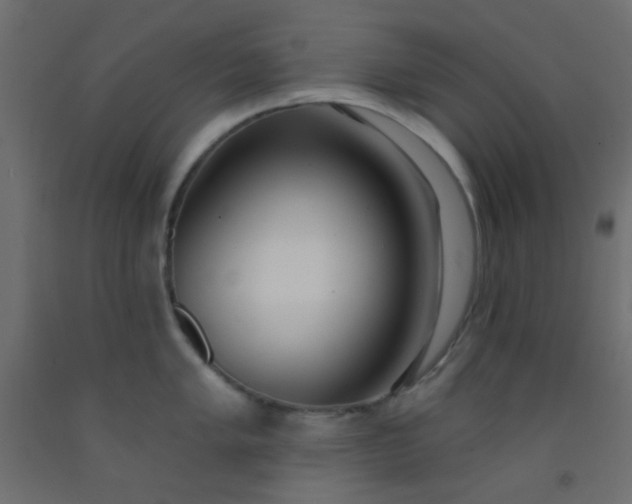 X0000093091005200710101513