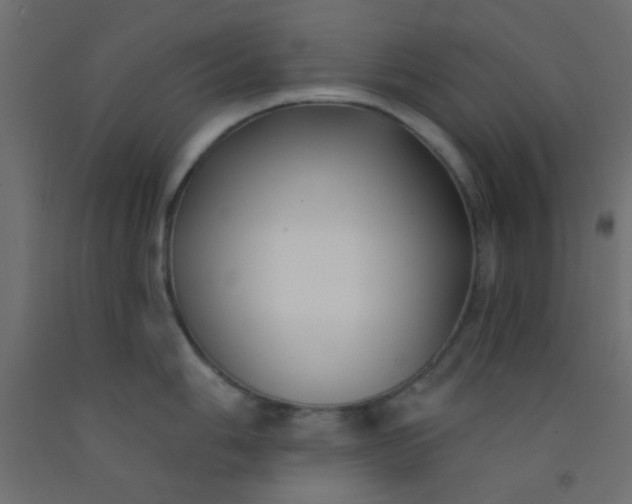 X0000093091006200710101513