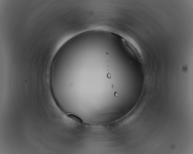 X0000093091007200710101513