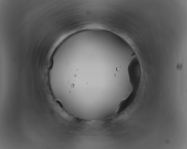 X0000093091008200710101513