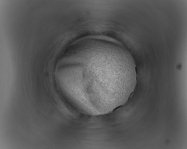 X0000093091009200710101513