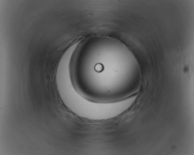 X0000093091010200710101513