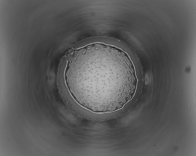 X0000093091011200710101513