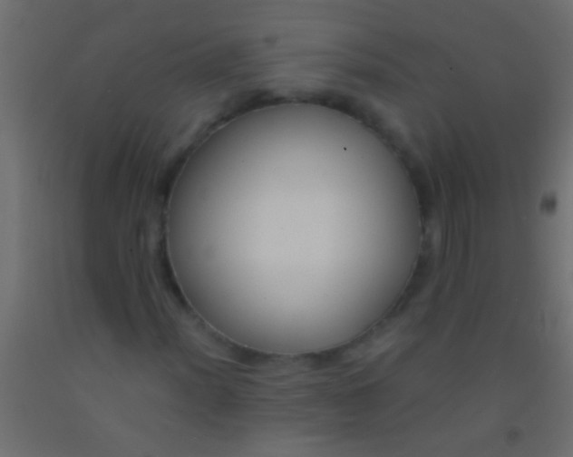 X0000093091012200710101513