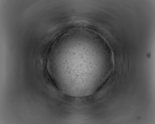 X0000093091013200710101513