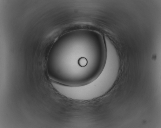 X0000093091014200710101513