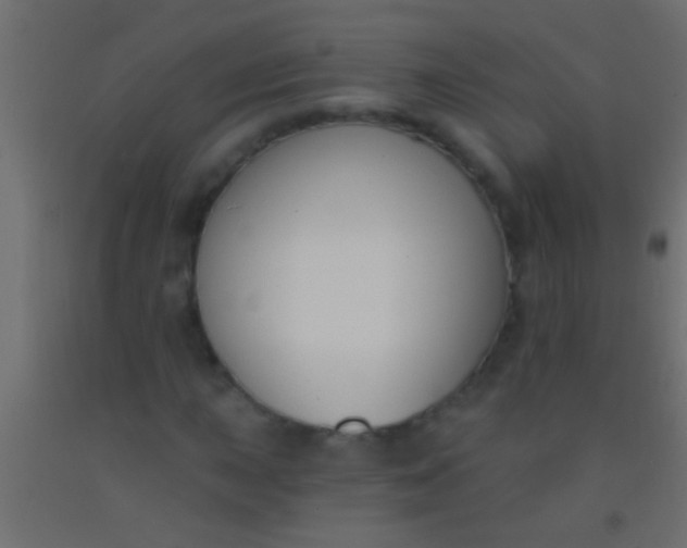 X0000093091015200710101513