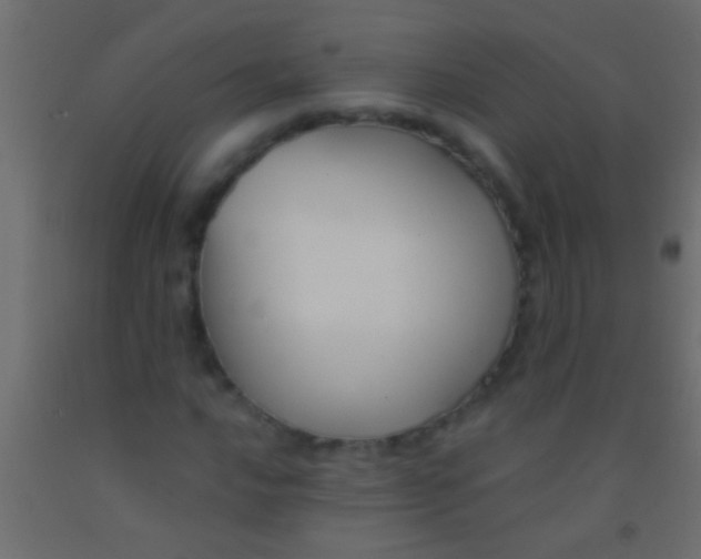 X0000093091016200710101513