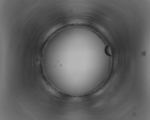 X0000093091017200710101513