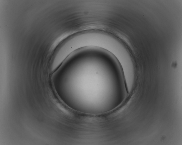 X0000093091018200710101513