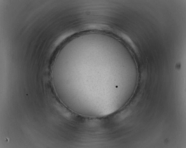 X0000093091019200710101513