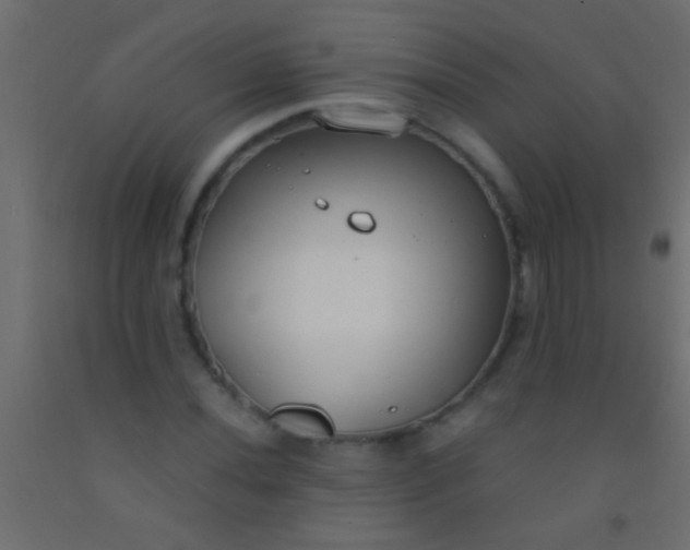 X0000093091020200710101513