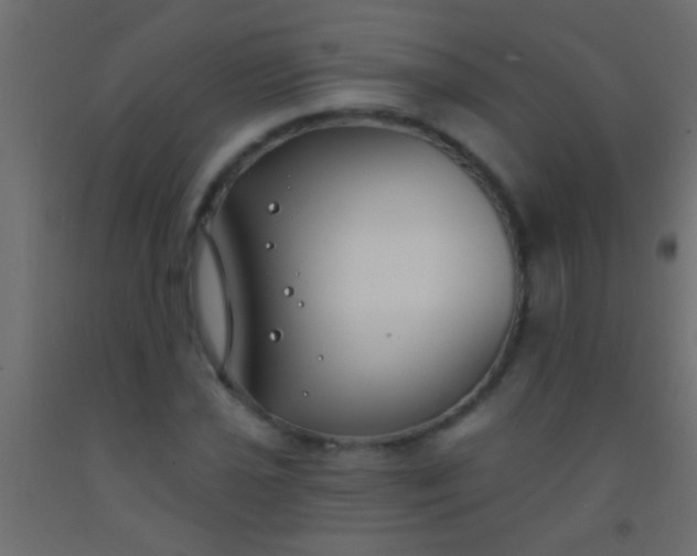 X0000093091021200710101513