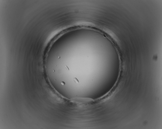 X0000093091022200710101513