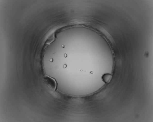 X0000093091023200710101513