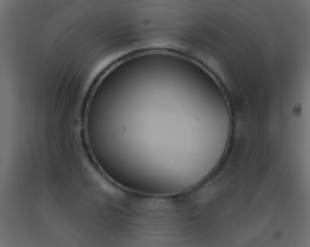 X0000093091024200710101513