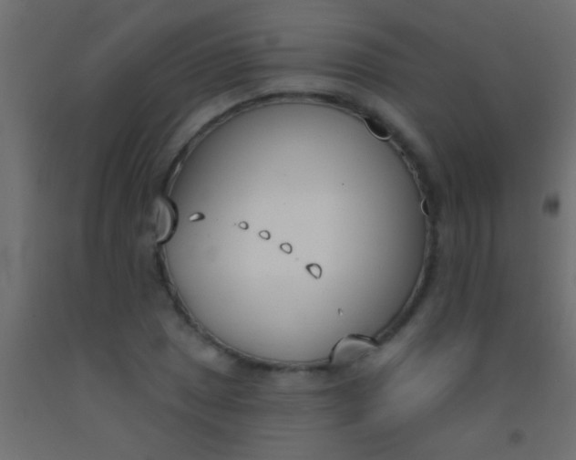 X0000093091025200710101513