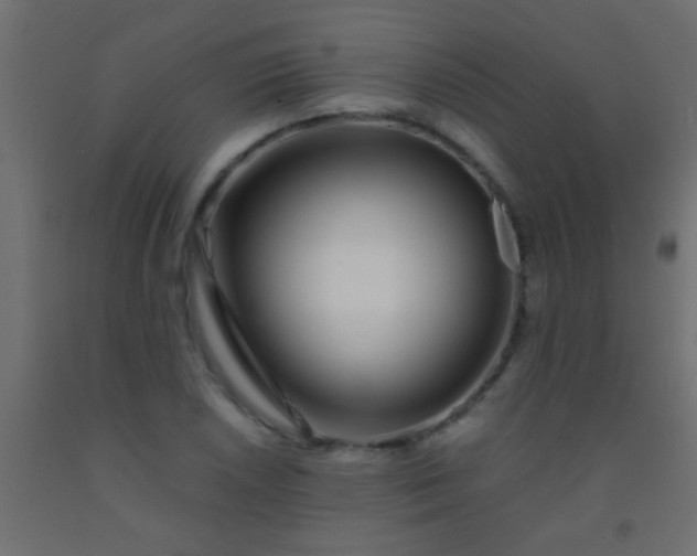 X0000093091026200710101513