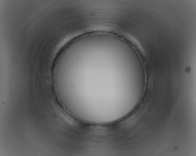 X0000093091027200710101513