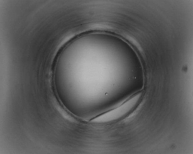 X0000093091029200710101513