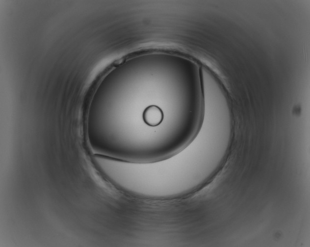 X0000093091030200710101513