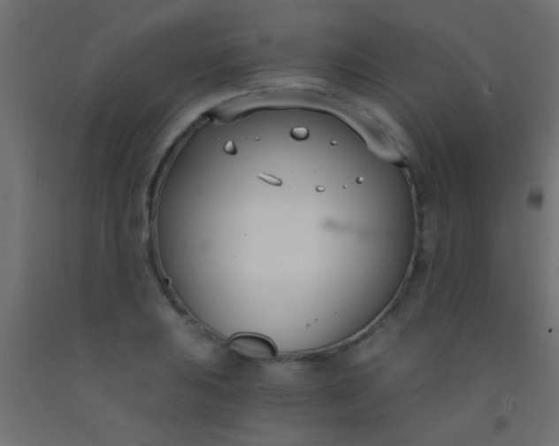 X0000093091031200710101513