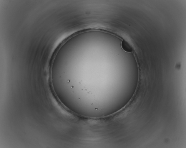 X0000093091032200710101513