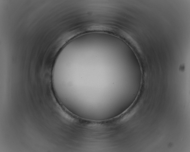 X0000093091033200710101513