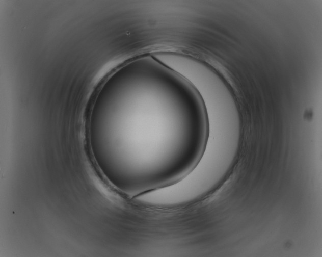 X0000093091034200710101513