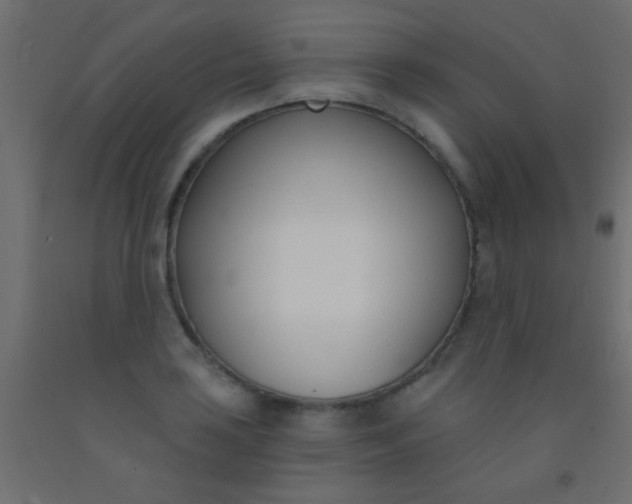 X0000093091035200710101513