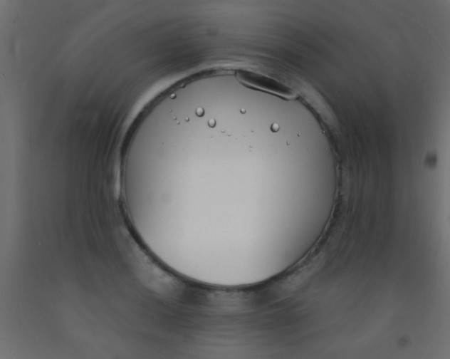 X0000093091036200710101513