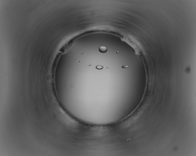 X0000093091037200710101513