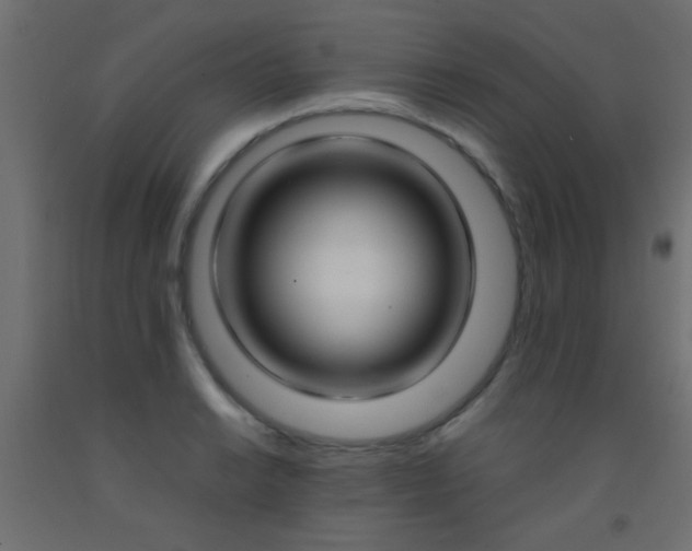 X0000093091038200710101513