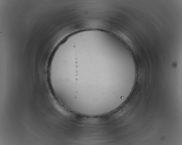 X0000093091039200710101513