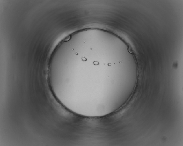 X0000093091040200710101513