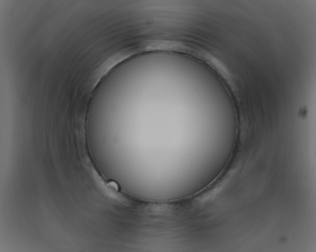 X0000093091041200710101513