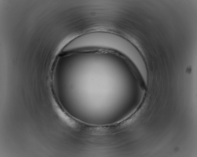 X0000093091042200710101513