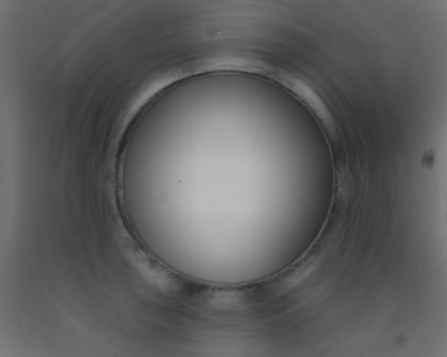 X0000093091043200710101513