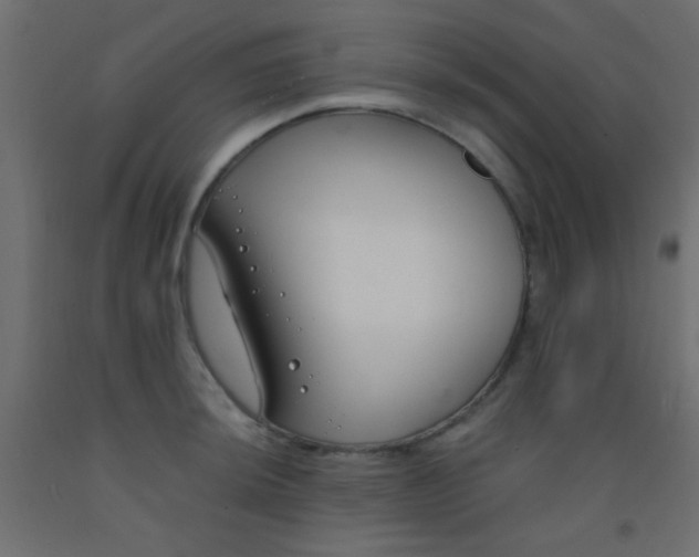 X0000093091044200710101513