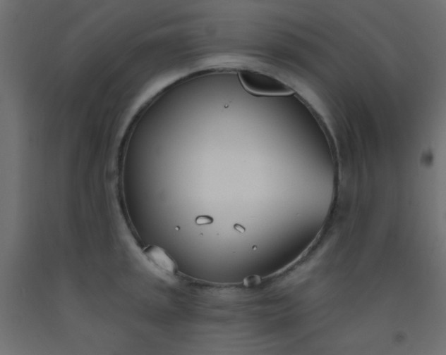 X0000093091045200710101513