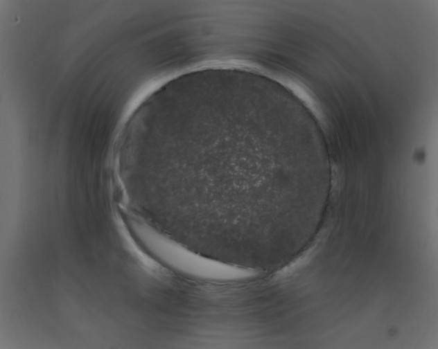 X0000093091046200710101513