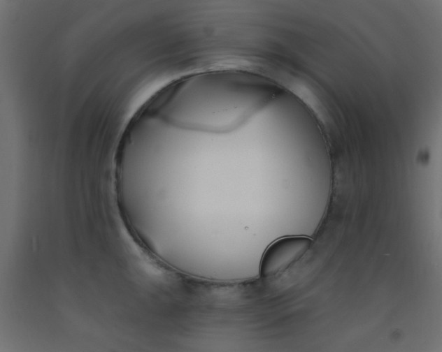 X0000093091047200710101513